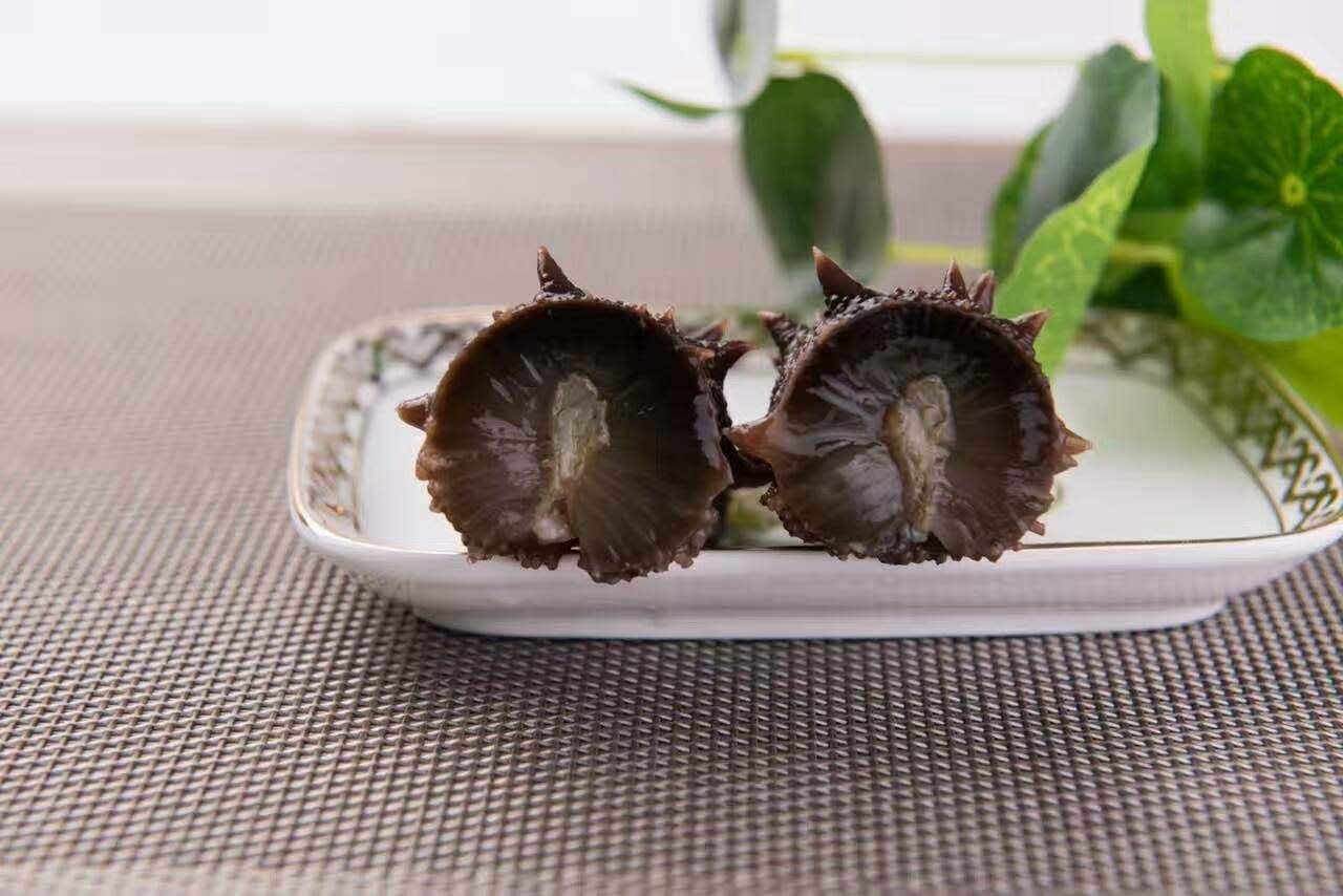 经常吃海参的人一定要看完视频,经常吃海参的人还有得癌症的吗