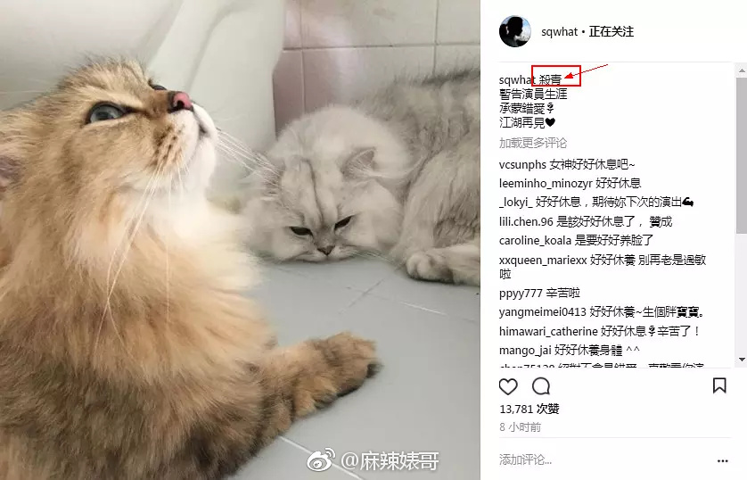 舒淇调侃周杰引争议,舒淇发文骄傲