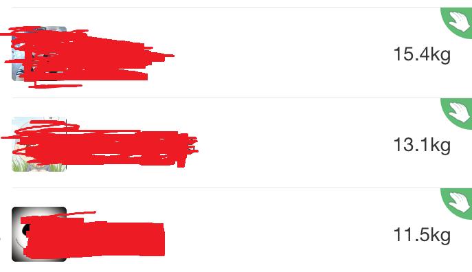 支付宝蚂蚁森林红豆树算不算种树,蚂蚁森林怎么种树最快