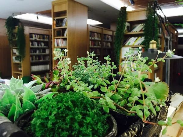 北京书最全的书店,北京书籍最全的书店