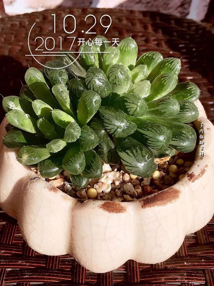 家有3姐妹,家有三姐妹好幸福