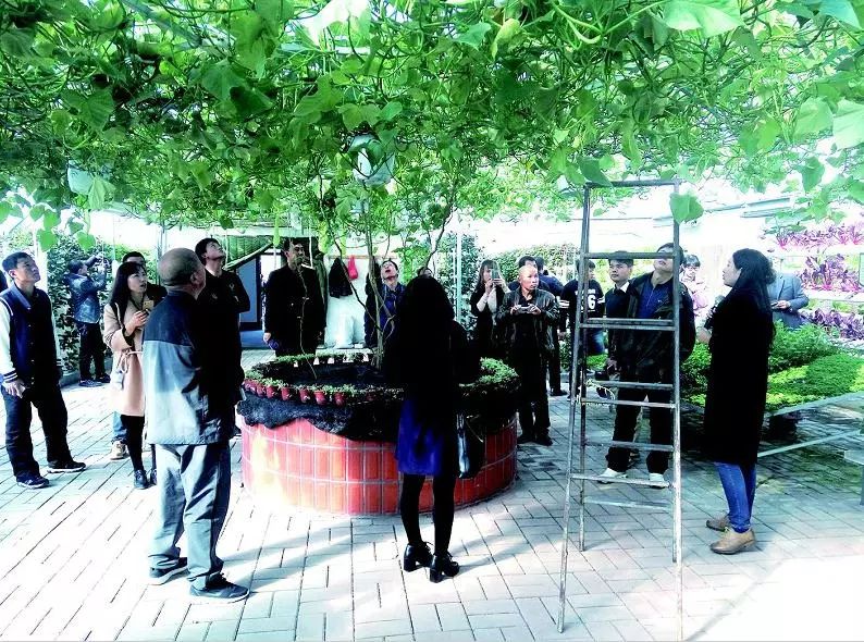 农闲时节充电拓宽致富渠道,农闲时节赚钱忙