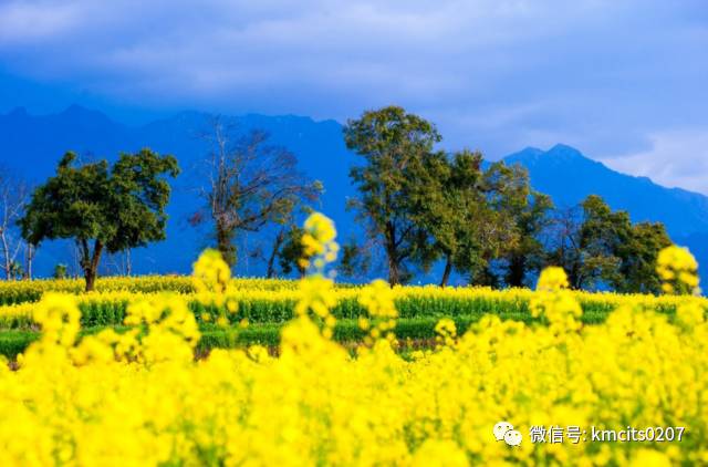 腾冲有什么美誉,腾冲美誉湖畔