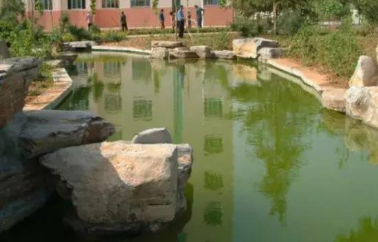 历城二中美术作品,手绘印象城市