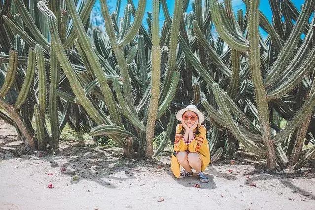 厦门旅游自由行攻略,厦门自由行旅游攻略