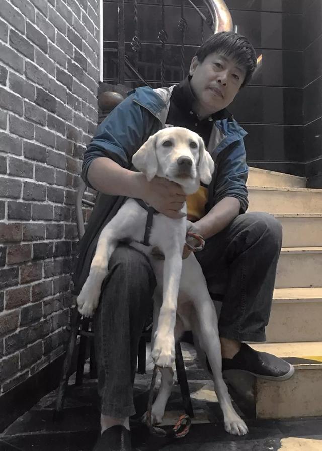 画十二生肖里的狗,晁谷画猫