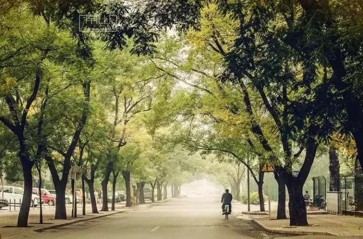 北京人真正的生活状态,北京人的困难真实生活