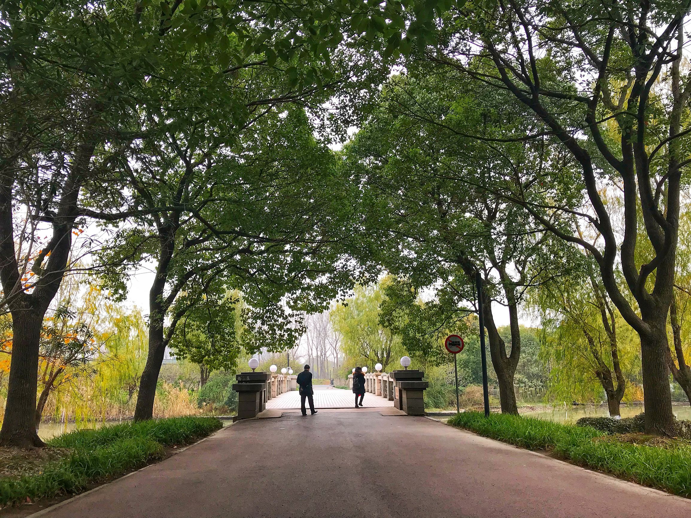 上海浦东世纪公园秋季,上海浦东新区世纪公园