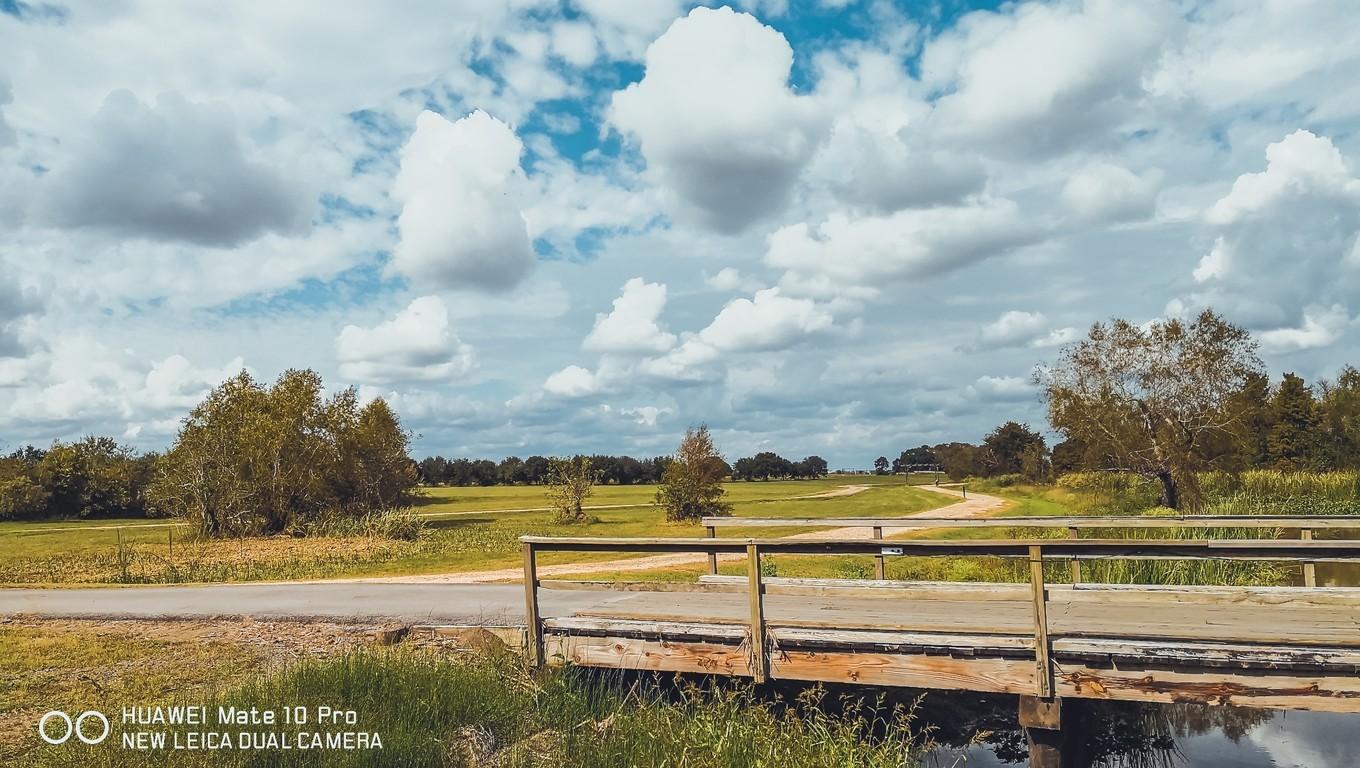 鍐呭崕杈惧窞鑻辨枃姝屾洸,鍐呭崕杈惧窞鐨勬瓕