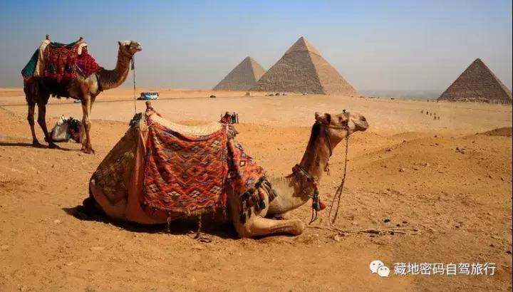 杩嫓绁炵娌欐紶涔嬫梾,杩嫓鏃呮父璧拌繘绁炲鑰屾ⅵ骞荤殑杩嫓