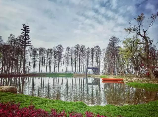 武汉地铁2号线有什么玩的,武汉哪条地铁线最方便