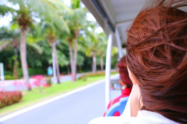 三亚市最美的景色拍摄,拍摄美丽三亚