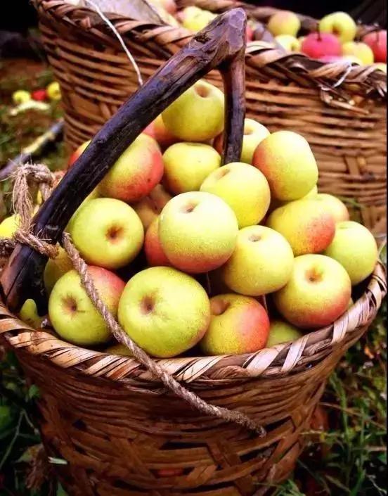 我美丽的家乡弥渡,我的家乡弥渡作文