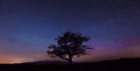 当幼儿园老师需要哪些技巧,想要做老师应该学什么专业