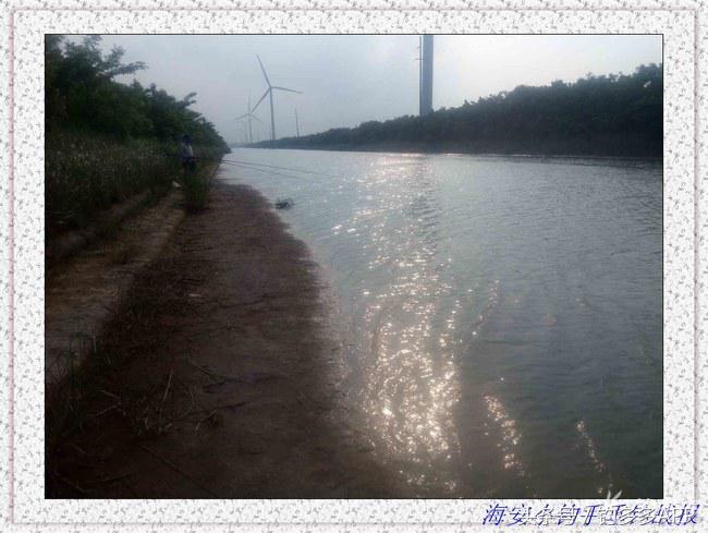 一年四季都可以钓的鱼种,一年四季可钓的鱼种