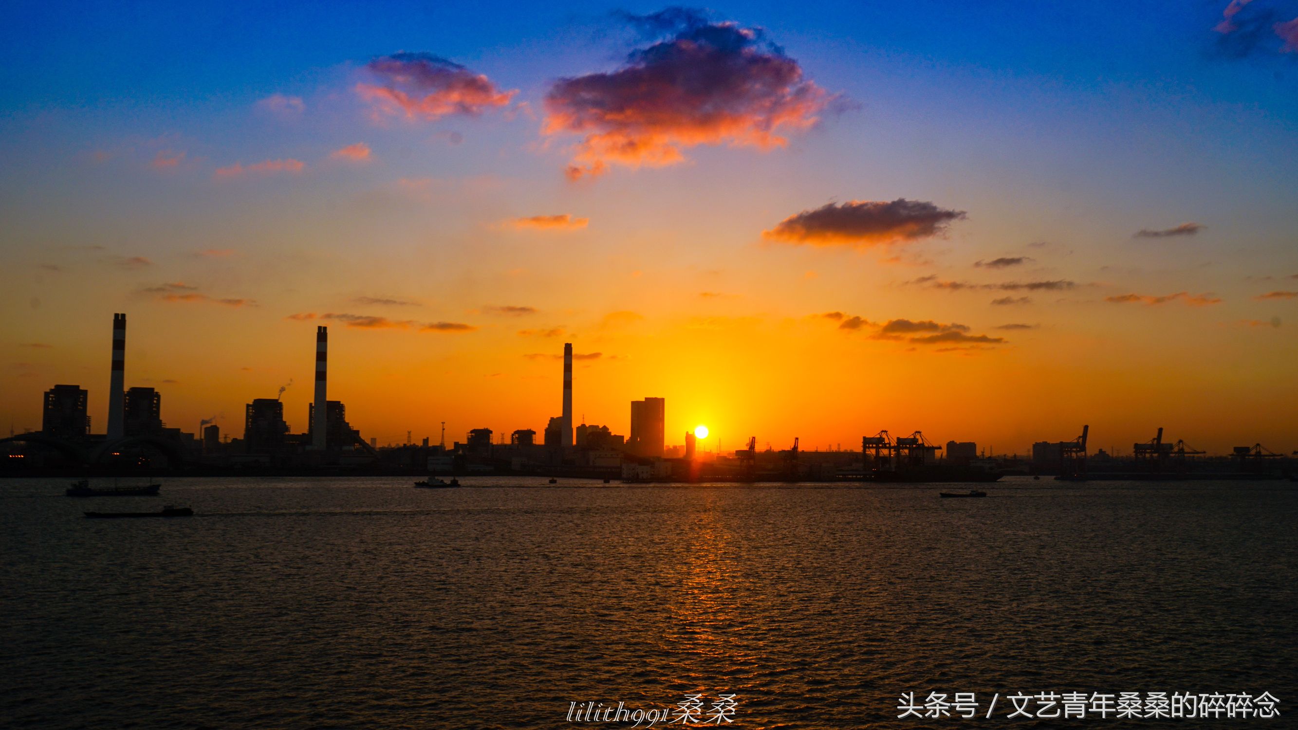 诺唯真邮轮喜悦号攻略,诺维真喜悦号日本游