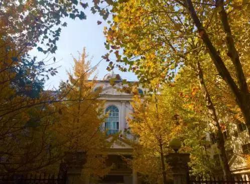 武汉地铁2号线有什么玩的,武汉哪条地铁线最方便