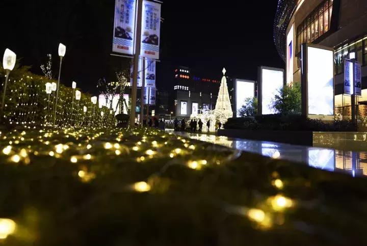 魔都今年的圣诞树，我们都帮你找来了！20颗圣诞树治愈这个冬季~