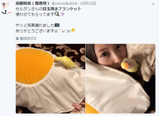 社交电商的跨境生意,社交电商购物渠道