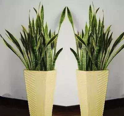 老公身上烟味大怎么去除,老公身上烟味很浓