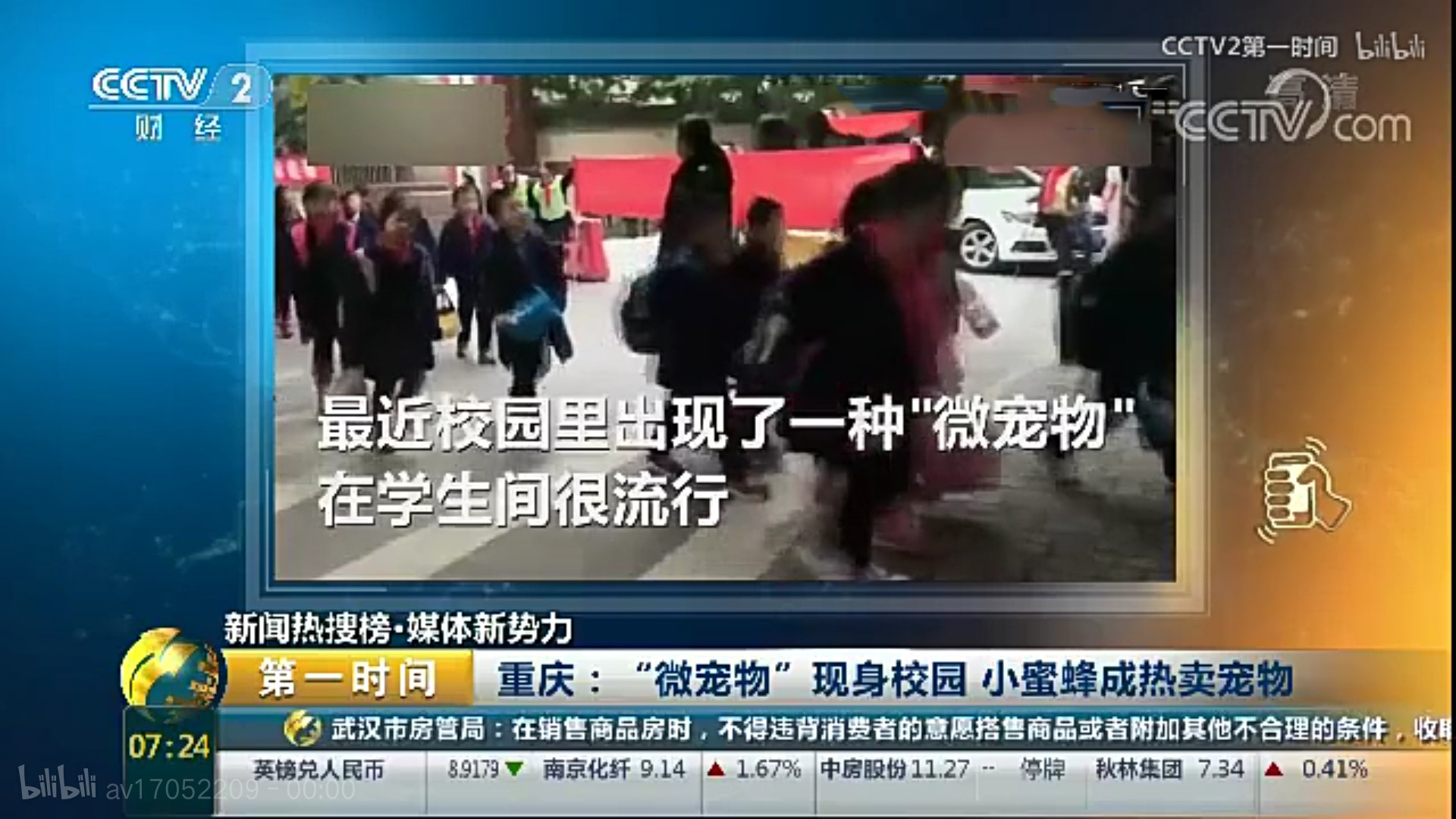 小学生宠物最便宜又好养,小学生小宠物