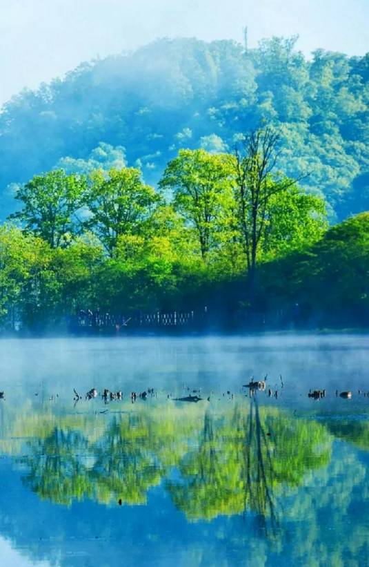 行路难诗词鉴赏,诗词赏析