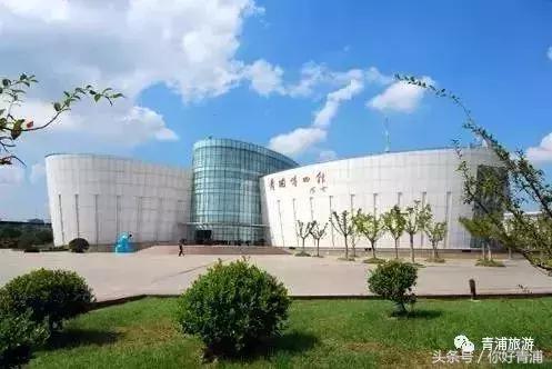 青浦17号线到瑞金医院地铁站,青浦17号线延伸到嘉善站点