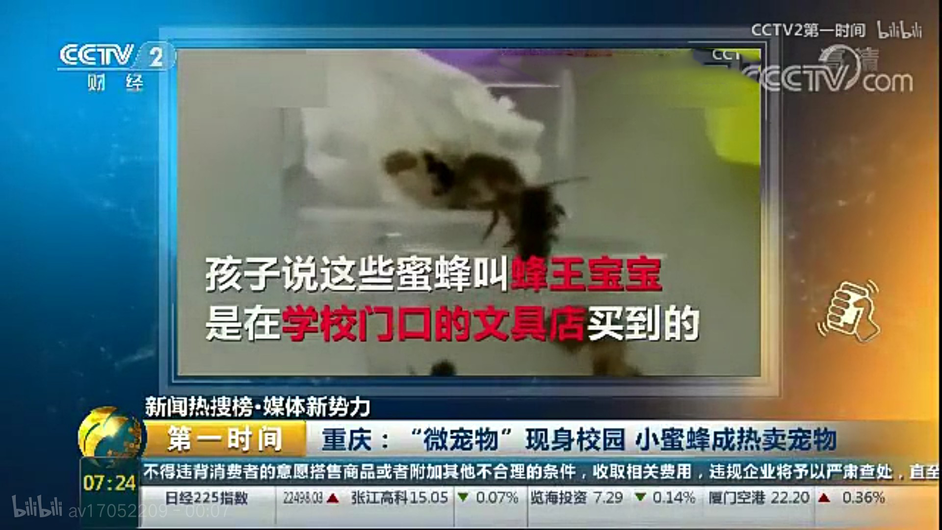 盘点小学生在学校里养的奇葩宠物,小学生小型宠物10元以下