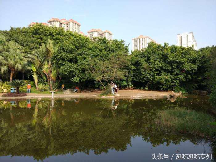 荔枝公园有什么景点,荔枝公园有没有平地