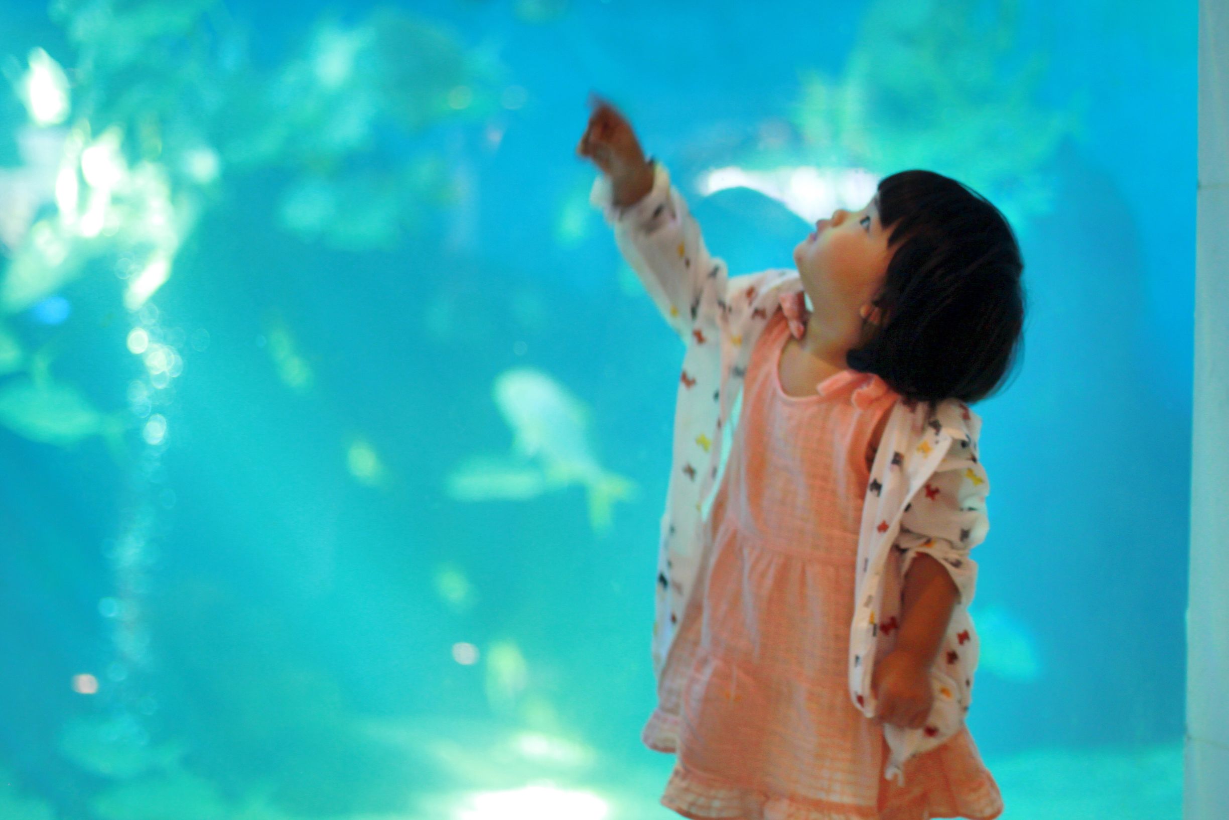 三亚度假巨无霸五天五夜玩不腻,避寒之旅三亚