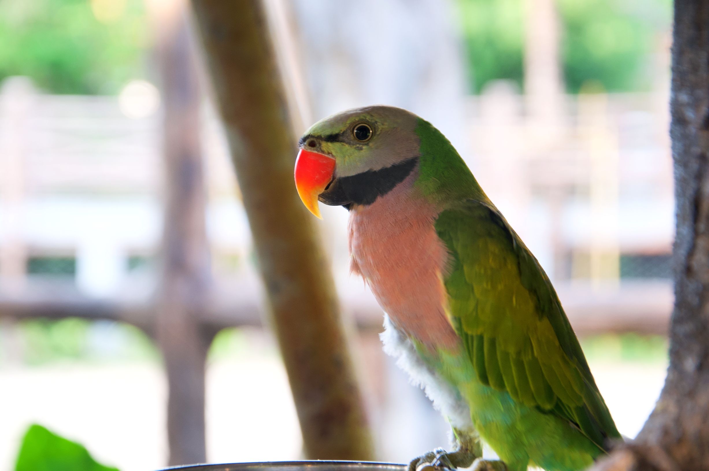 三亚度假巨无霸五天五夜玩不腻,避寒之旅三亚