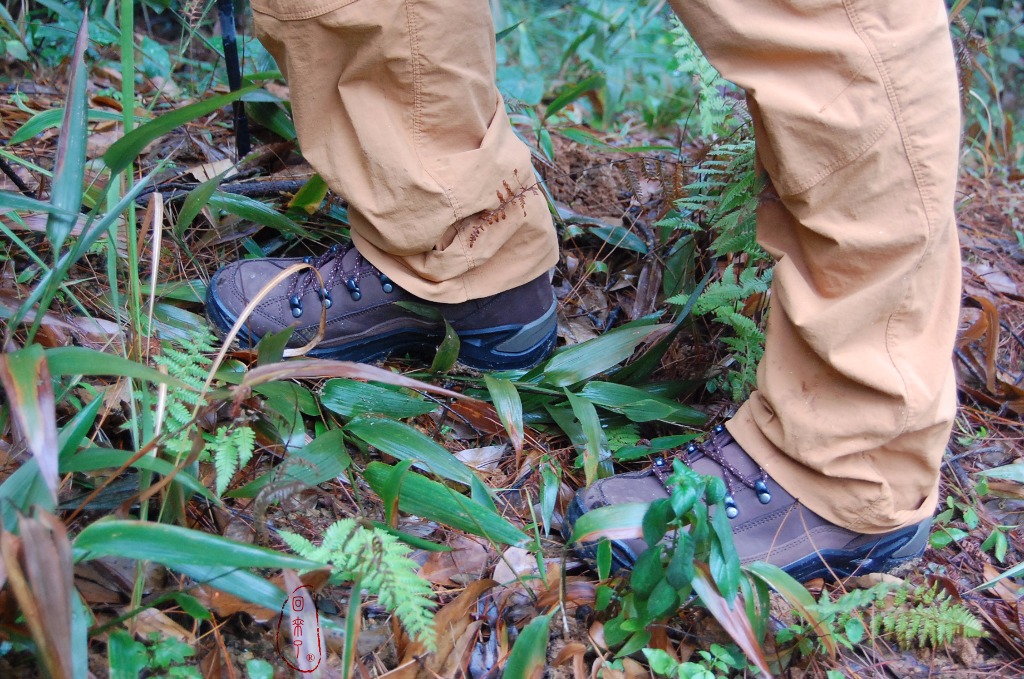 lowa登山鞋mk2测评,lowa登山鞋zephyr