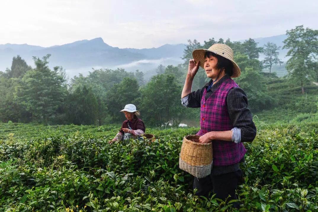 宁强旅游景点排名前十名,宁强县十大旅游景点