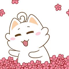 下周最低气温消息,下周的最低气温和最高气温是多少