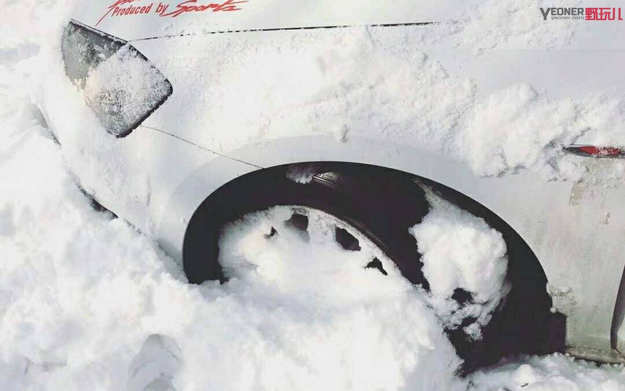 thenorthface性价比最高单品,thenorthface是什么牌子