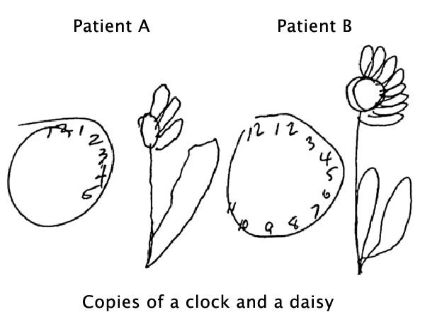 死亡意思解释,死亡说明了什么道理