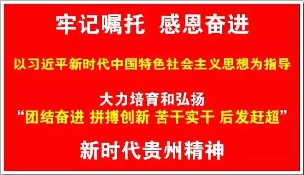 铜仁学院“三建两抓”助推“抓两学一做、促双一流建设”主题实践活动