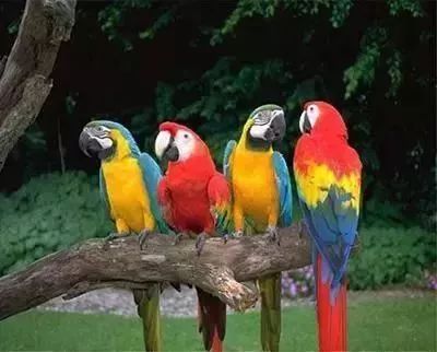 免单3天！南宁这个乐园的老板“疯了”？！