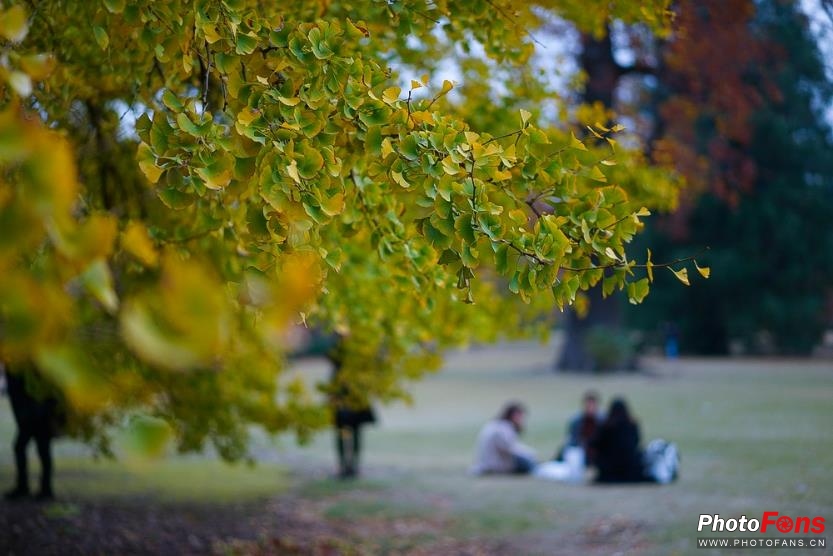 eosm6杩炵画鎷嶆憚,浣宠兘eosm6