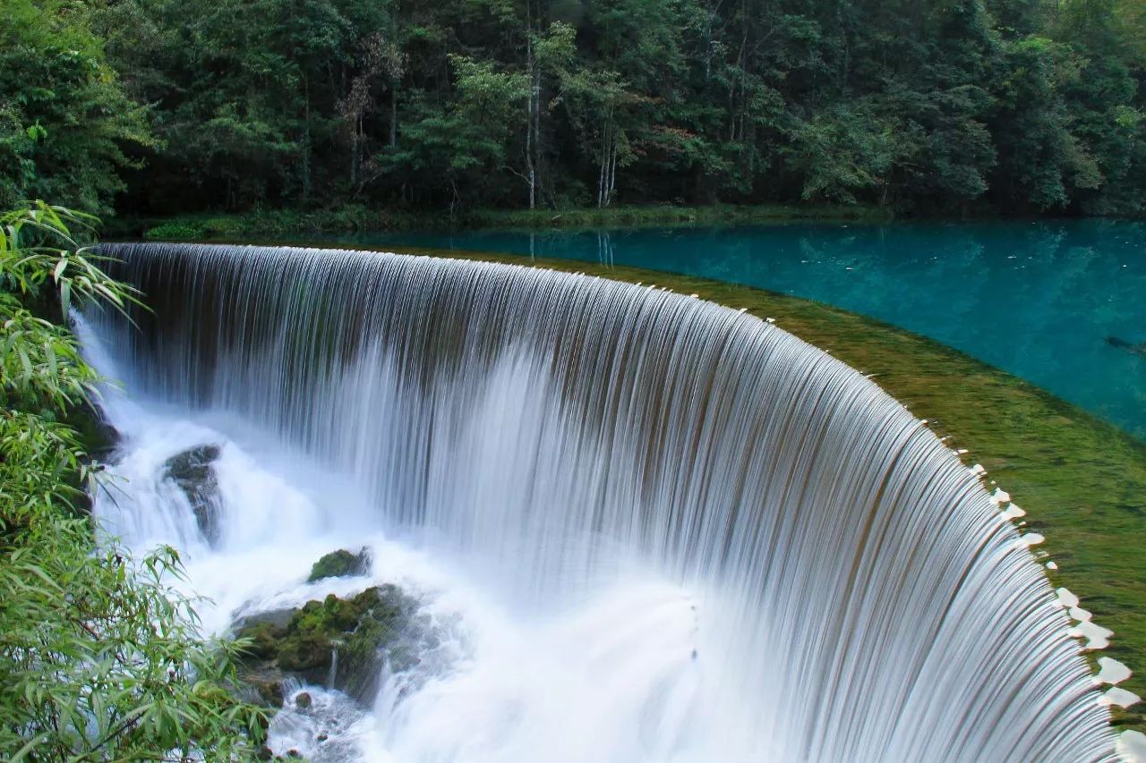 黔南原始森林风景,遇见森林风景