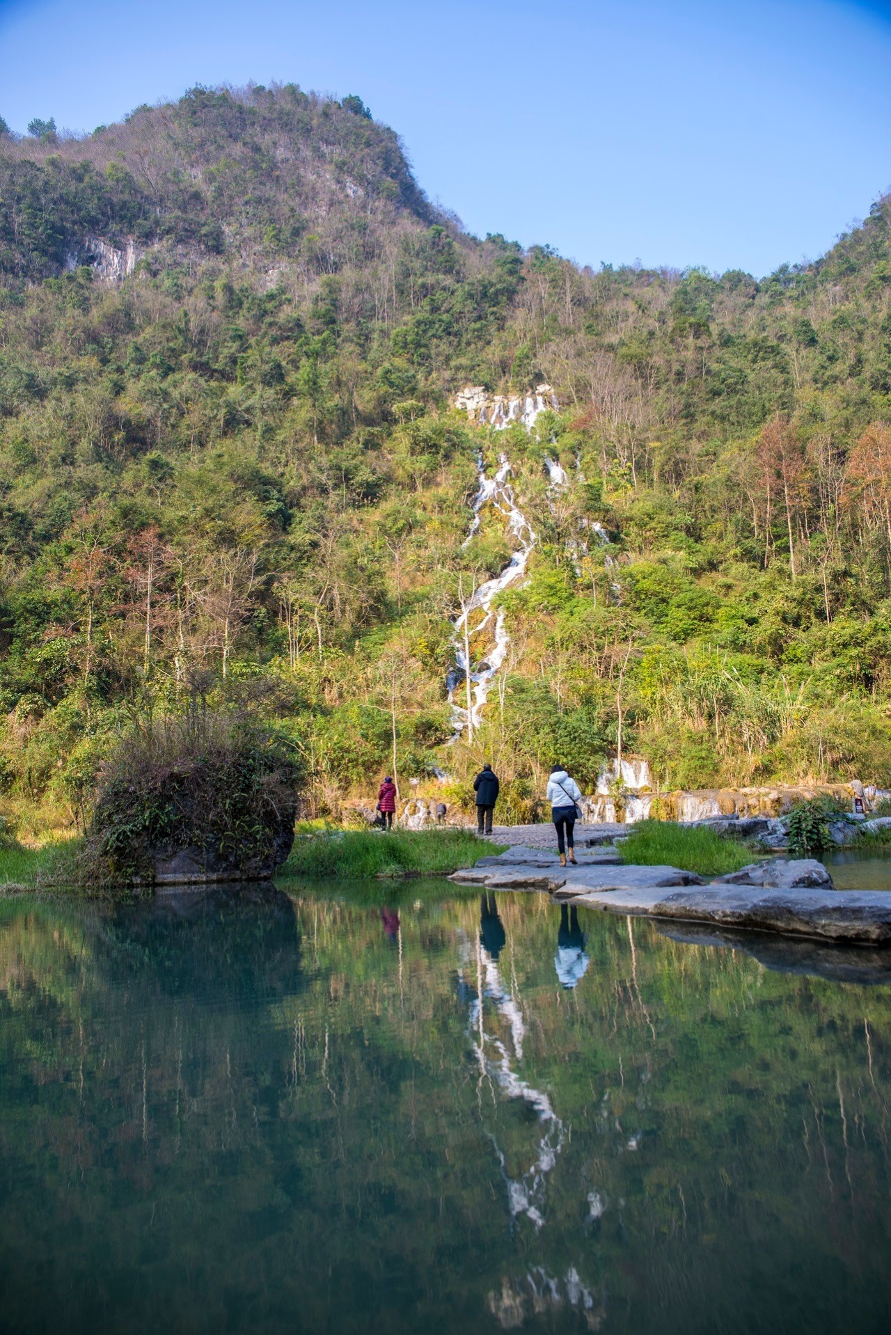 黔南原始森林风景,遇见森林风景