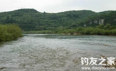 赤尾子鱼的垂钓技巧,赤尾子鱼吃法