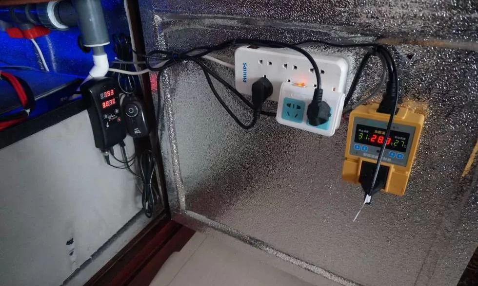 玩得细致、专业,出手不凡!