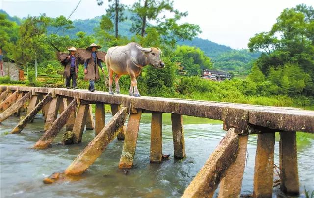 福鼎各乡镇历史地名,福鼎最有名的镇名