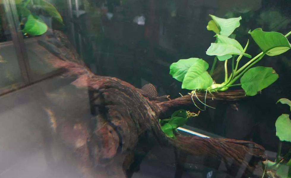 玩得细致、专业,出手不凡!