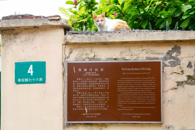 发现长宁｜*安泰**路光影地图会让你眼睛一亮！