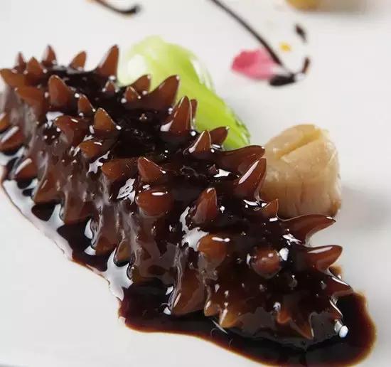 秋季滋补活海参,深海海参大乌参怎么煮食