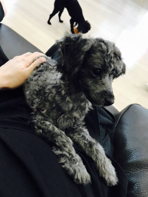 听说你爱豆行程结束后第一件事，就是赶回家见ta！