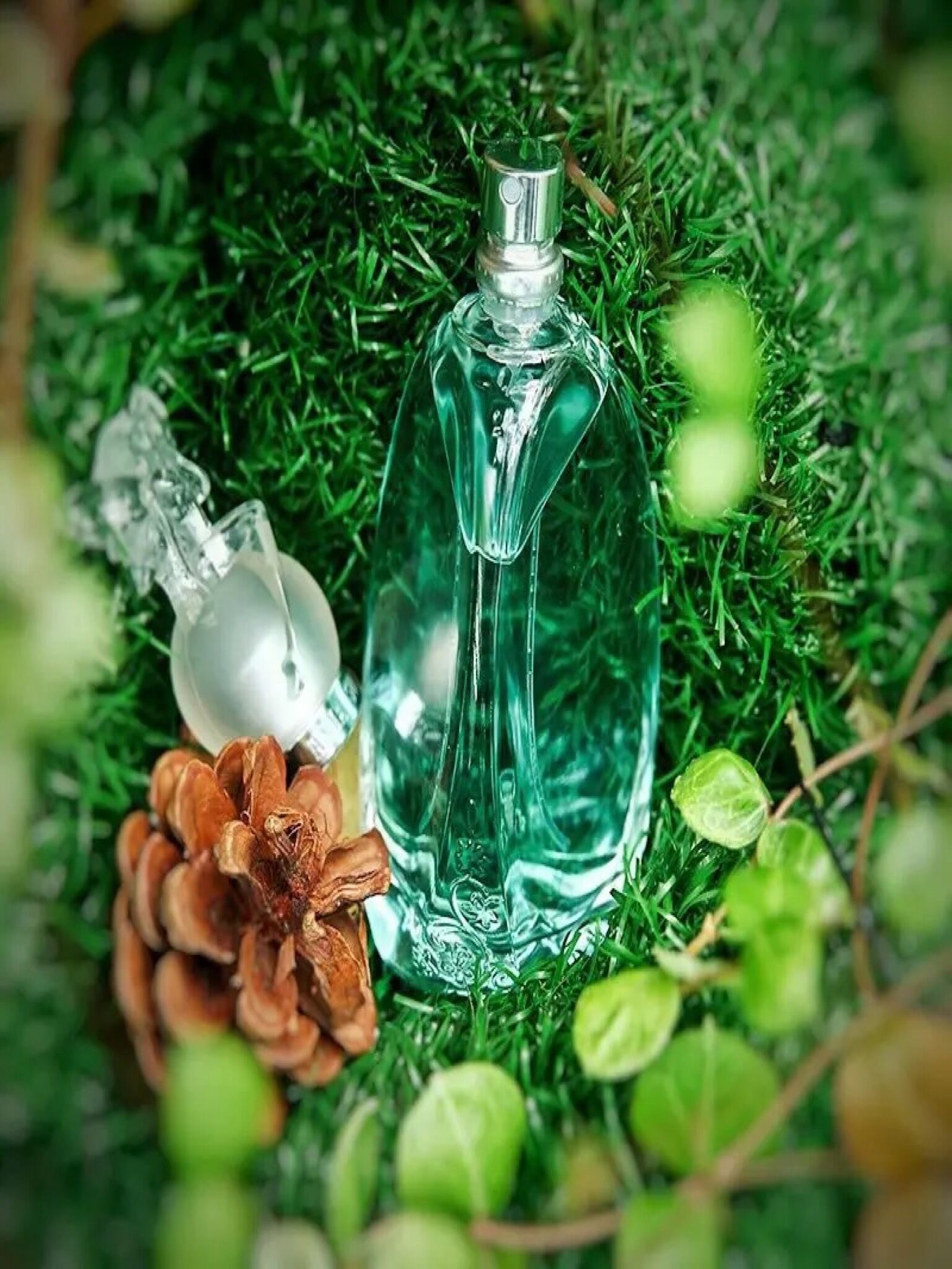 闻香识女人里提到的香水,闻香识女人是哪本书改编的