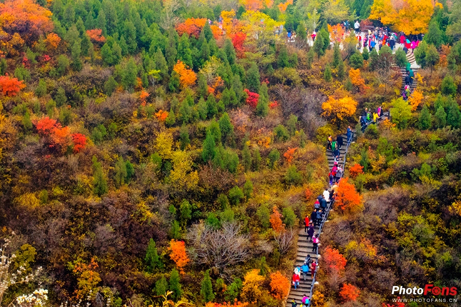 佳能eos800d摄影视频,佳能eos800d拍出来是黑白的